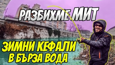 Разбихме мит! Риболов на зимни кефали в бърза вода